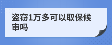 盗窃1万多可以取保候审吗