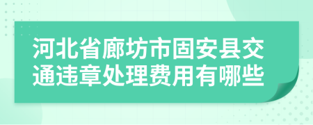 河北省廊坊市固安县交通违章处理费用有哪些