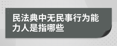 民法典中无民事行为能力人是指哪些