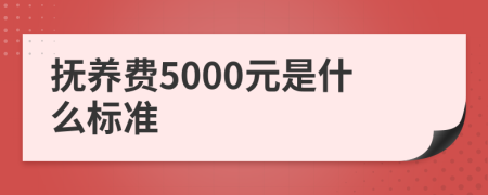 抚养费5000元是什么标准