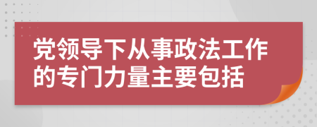 党领导下从事政法工作的专门力量主要包括