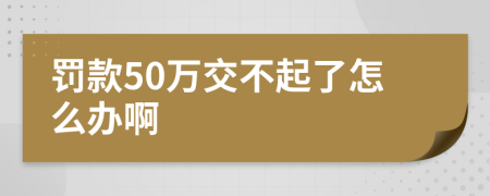 罚款50万交不起了怎么办啊