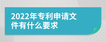 2022年专利申请文件有什么要求