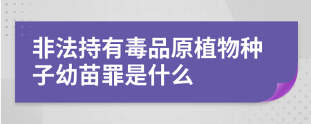 非法持有毒品原植物种子幼苗罪是什么