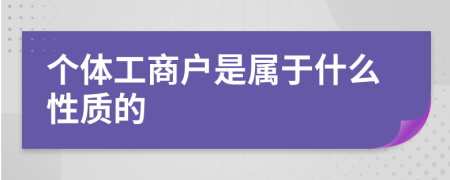 个体工商户是属于什么性质的