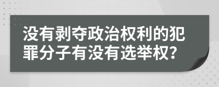 没有剥夺政治权利的犯罪分子有没有选举权？