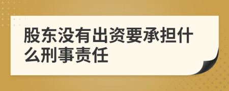股东没有出资要承担什么刑事责任