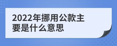 2022年挪用公款主要是什么意思