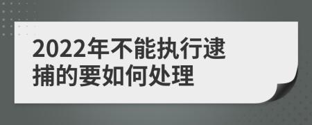 2022年不能执行逮捕的要如何处理