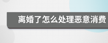 离婚了怎么处理恶意消费