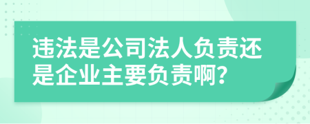 违法是公司法人负责还是企业主要负责啊？