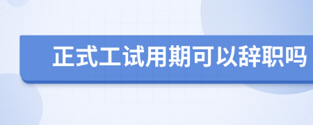 正式工试用期可以辞职吗