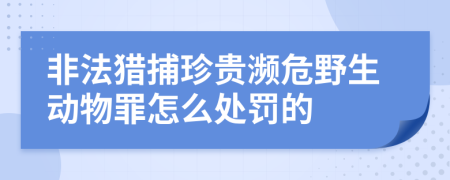 非法猎捕珍贵濒危野生动物罪怎么处罚的