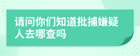 请问你们知道批捕嫌疑人去哪查吗