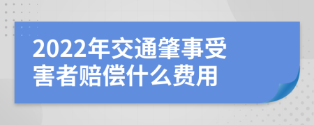 2022年交通肇事受害者赔偿什么费用