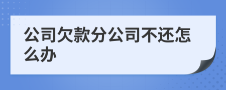 公司欠款分公司不还怎么办