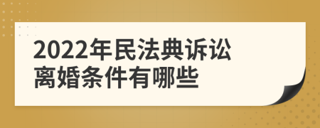 2022年民法典诉讼离婚条件有哪些