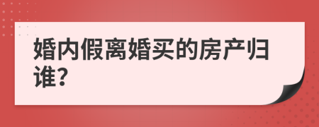 婚内假离婚买的房产归谁？