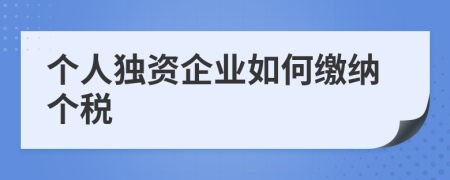 个人独资企业如何缴纳个税