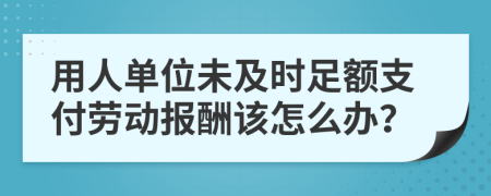 用人单位未及时足额支付劳动报酬该怎么办？