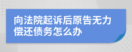 向法院起诉后原告无力偿还债务怎么办