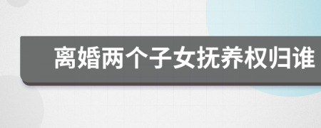 离婚两个子女抚养权归谁