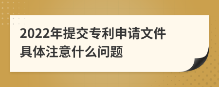 2022年提交专利申请文件具体注意什么问题