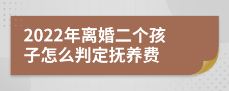 2022年离婚二个孩子怎么判定抚养费