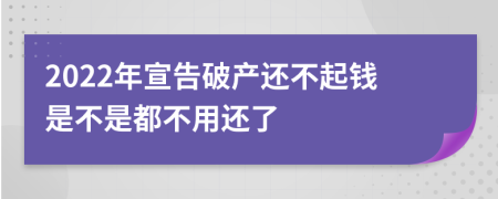 2022年宣告破产还不起钱是不是都不用还了