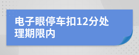 电子眼停车扣12分处理期限内