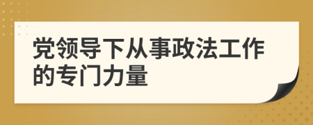 党领导下从事政法工作的专门力量