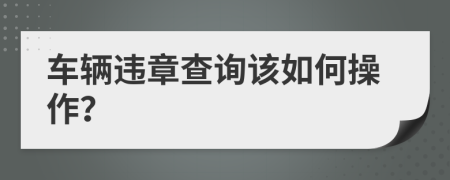 车辆违章查询该如何操作？