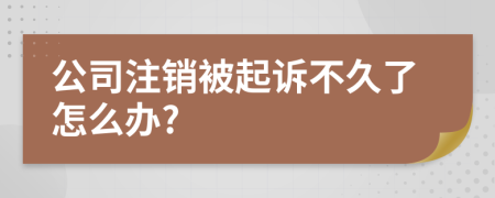 公司注销被起诉不久了怎么办?