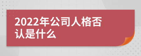 2022年公司人格否认是什么