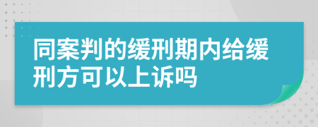 同案判的缓刑期内给缓刑方可以上诉吗