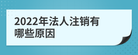 2022年法人注销有哪些原因