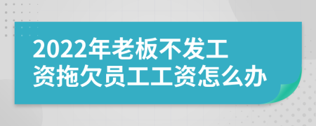 2022年老板不发工资拖欠员工工资怎么办