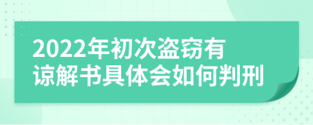 2022年初次盗窃有谅解书具体会如何判刑