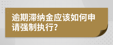 逾期滞纳金应该如何申请强制执行？