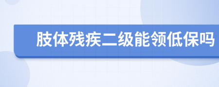 肢体残疾二级能领低保吗