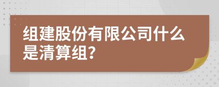 组建股份有限公司什么是清算组？