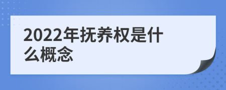 2022年抚养权是什么概念