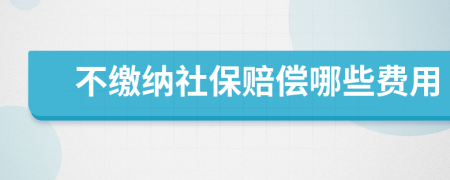 不缴纳社保赔偿哪些费用