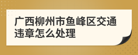 广西柳州市鱼峰区交通违章怎么处理