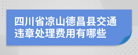 四川省凉山德昌县交通违章处理费用有哪些