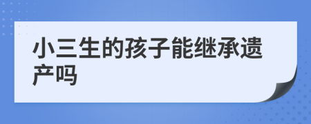 小三生的孩子能继承遗产吗