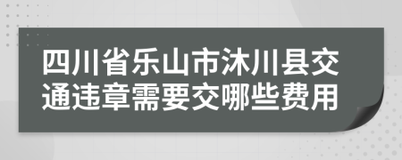 四川省乐山市沐川县交通违章需要交哪些费用