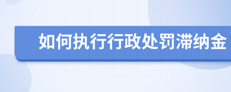 如何执行行政处罚滞纳金