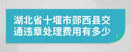 湖北省十堰市郧西县交通违章处理费用有多少