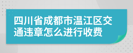 四川省成都市温江区交通违章怎么进行收费